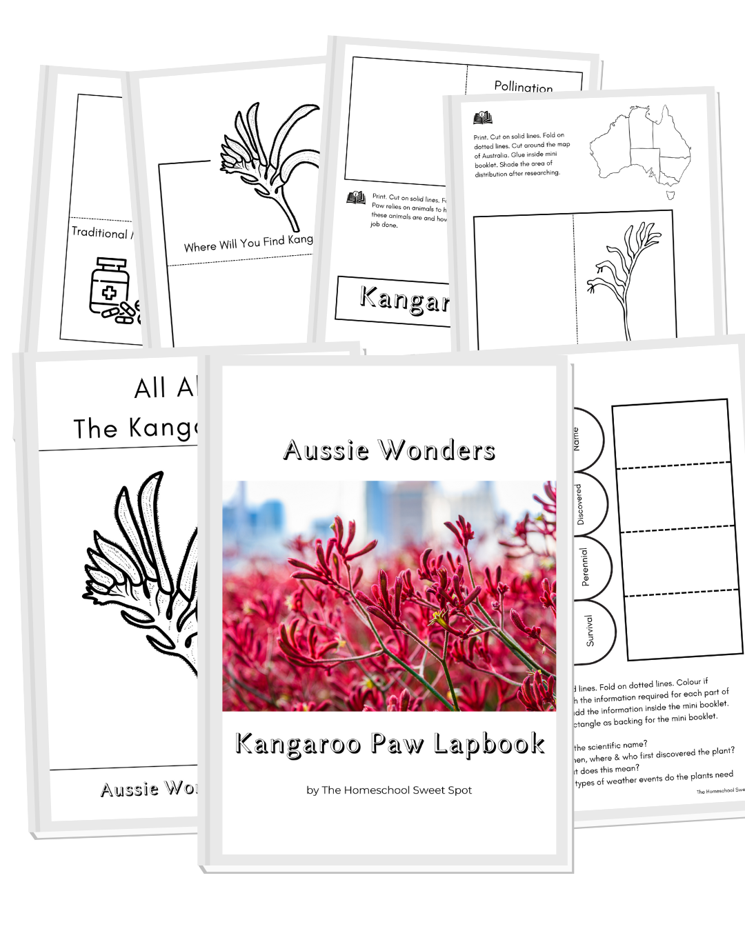 Aussie Wonders Lapbook Bundle